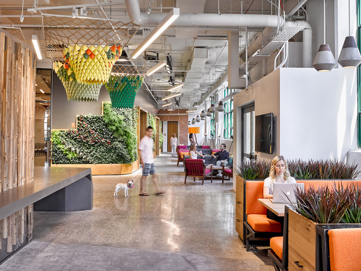 FOLLOW THESE 5 COMPANIES AND CREATE A GREEN OFFICE